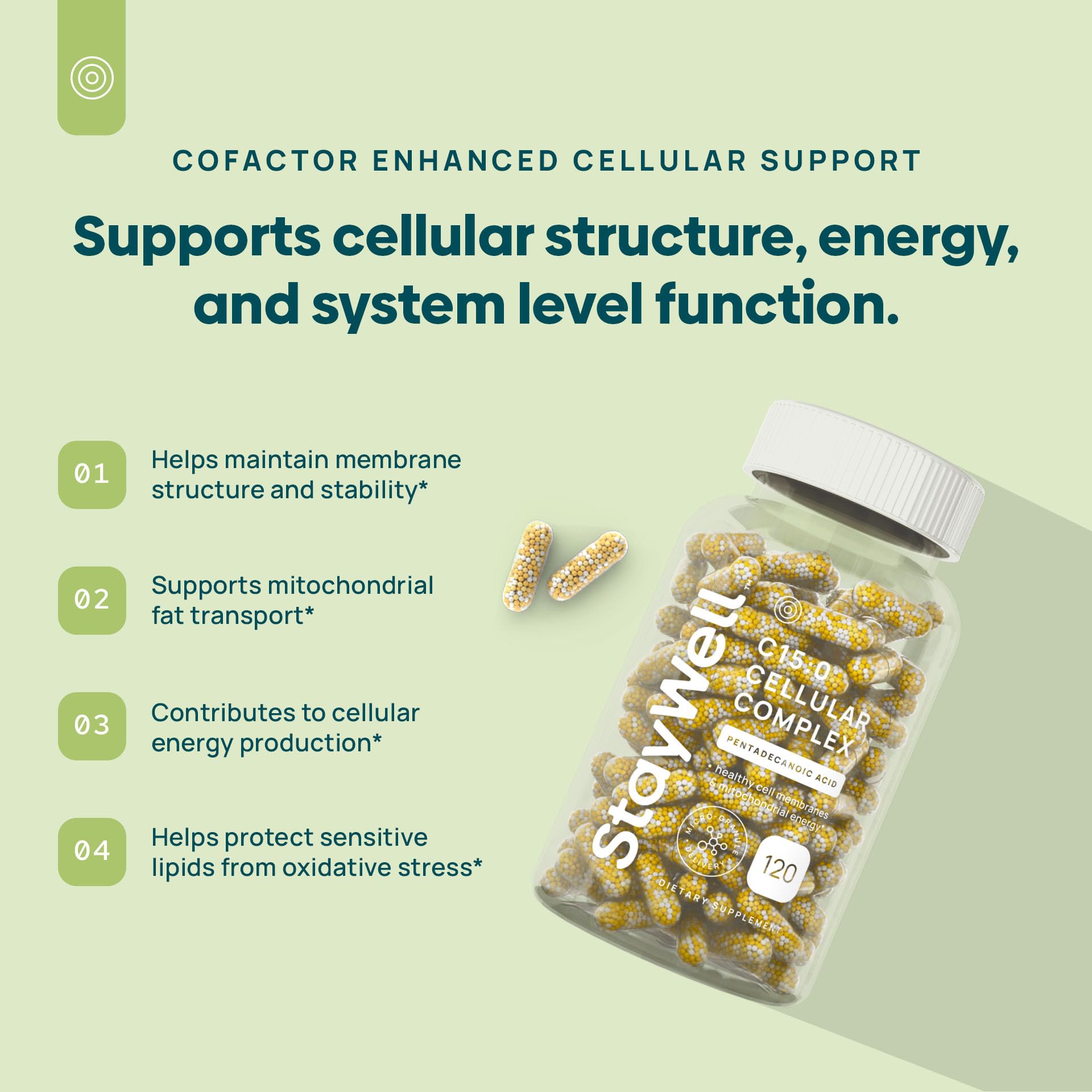 Stay-Well Naturals C15:0 Pentadecanoic Acid 100g supplement side view