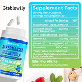 Steblowlly Akkermansia Probiotic Capsules bottle side view