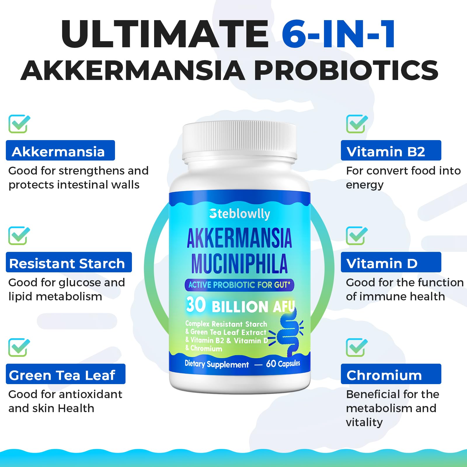 Steblowlly Akkermansia Probiotic Capsules ingredients list