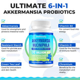 Steblowlly Akkermansia Probiotic Capsules ingredients list