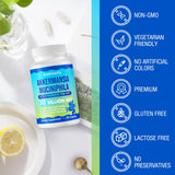 Steblowlly Akkermansia Probiotic Capsules lifestyle scene