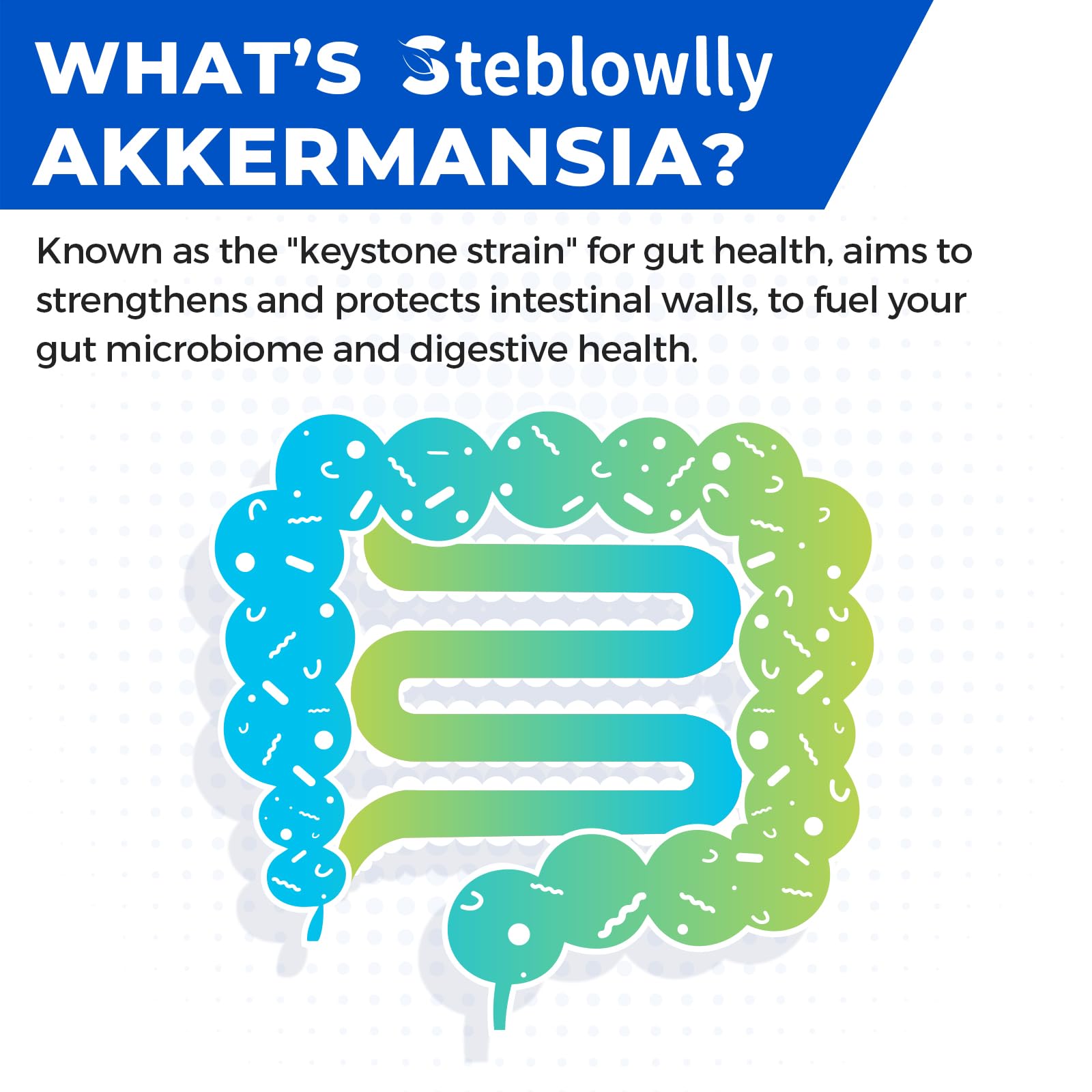 Steblowlly Akkermansia Probiotic Capsules with measuring spoon