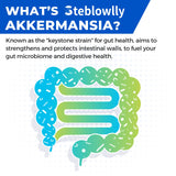 Steblowlly Akkermansia Probiotic Capsules with measuring spoon