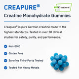 SteelFit Creatine Monohydrate Gummies Blue Raspberry packaging