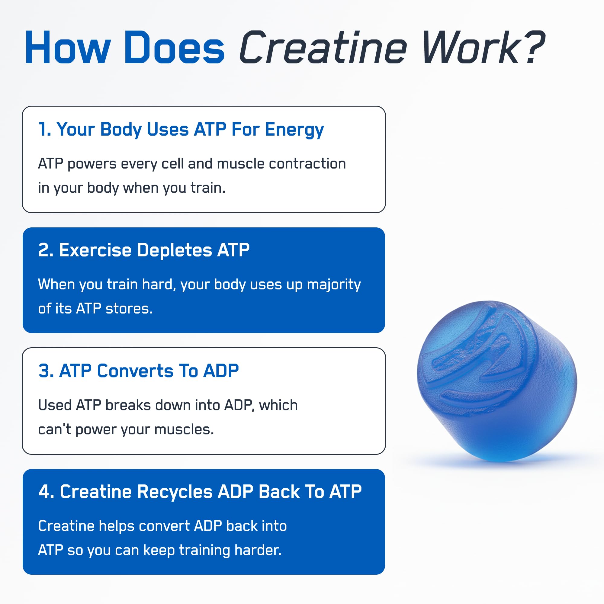 SteelFit Creatine Monohydrate Gummies Blue Raspberry with workout gear