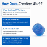 SteelFit Creatine Monohydrate Gummies Blue Raspberry with workout gear