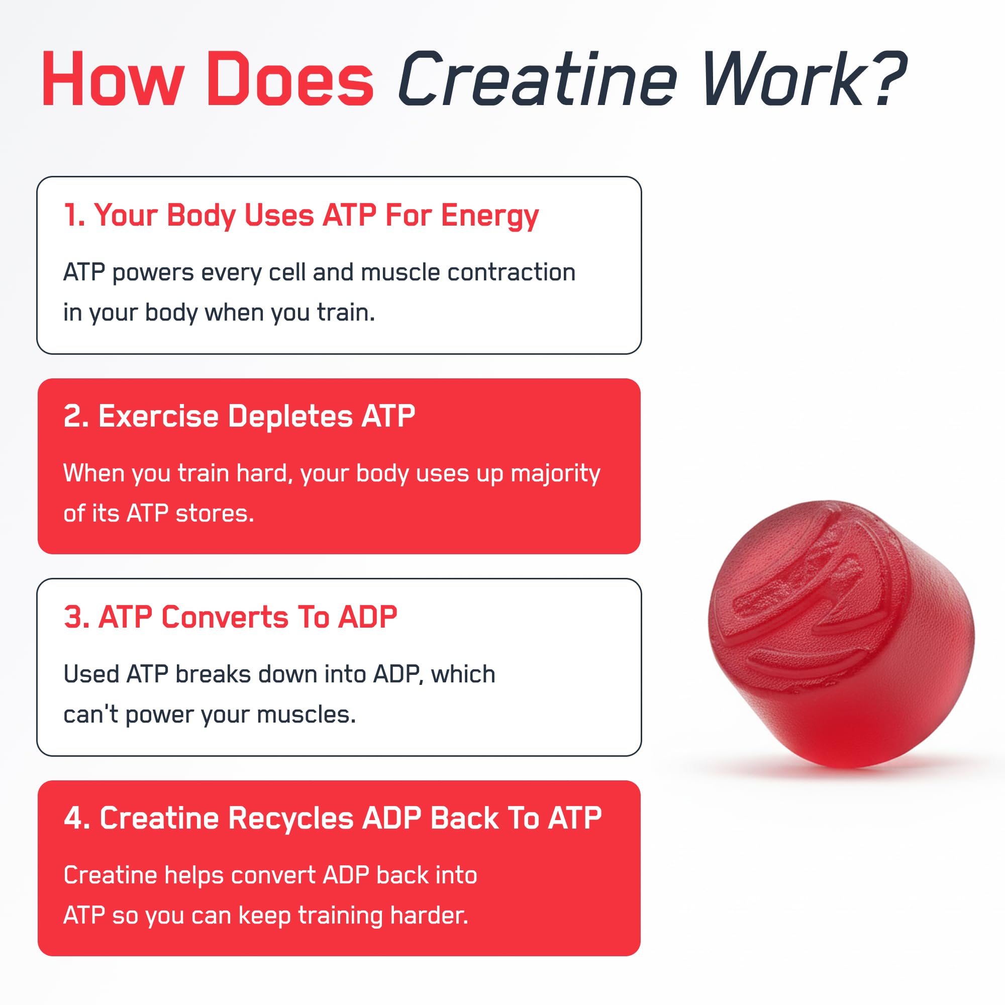 SteelFit Creatine Monohydrate Gummies with workout gear
