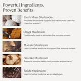 Stonehenge Health Dynamic Mushrooms supplement ingredients list