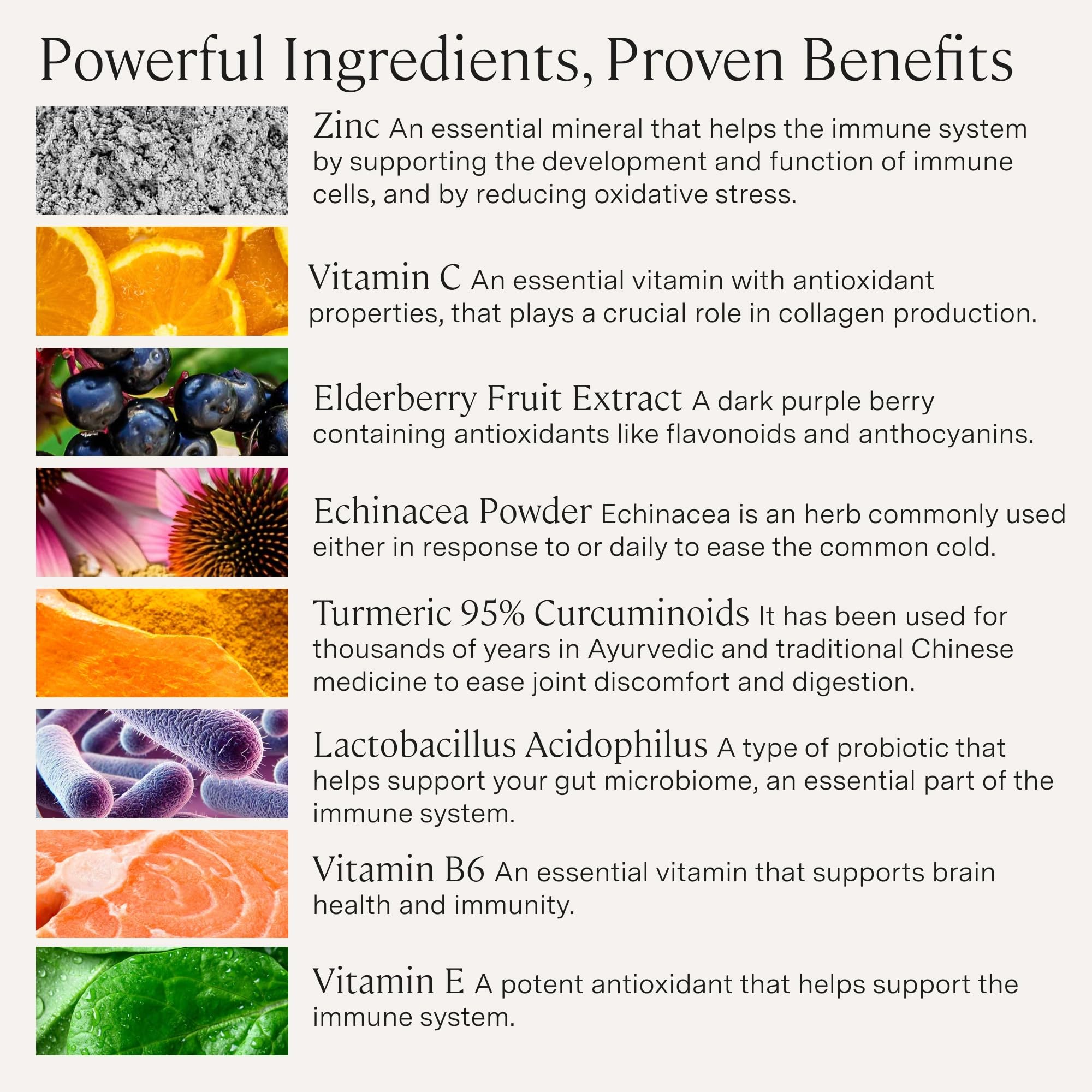 Stonehenge Health Elderberry daily wellness Support Supplement capsule close-up