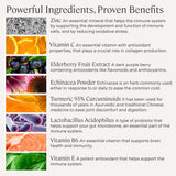 Stonehenge Health Elderberry daily wellness Support Supplement capsule close-up