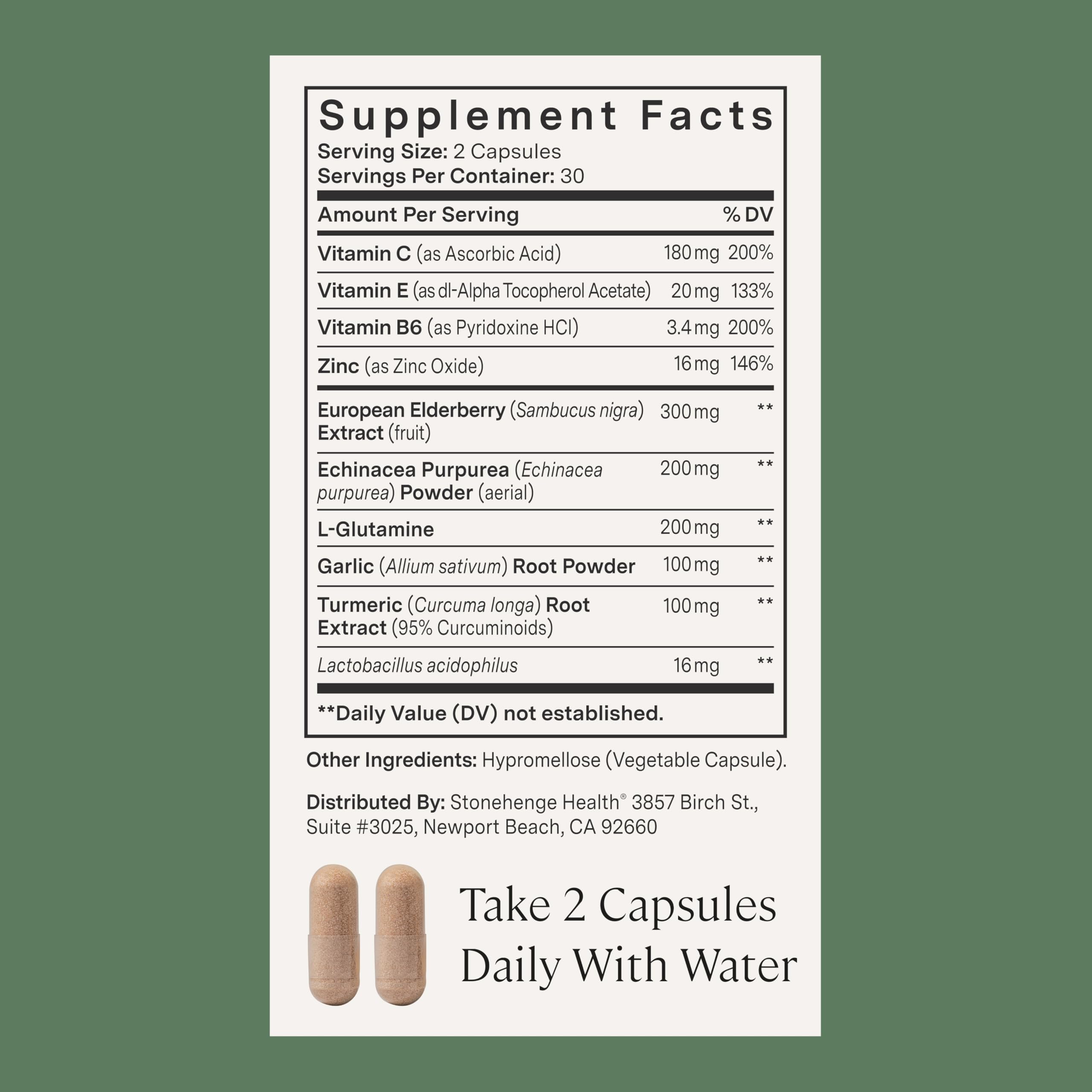 Stonehenge Health Elderberry daily wellness Support Supplement ingredients list