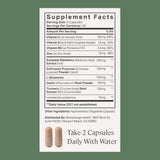 Stonehenge Health Elderberry daily wellness Support Supplement ingredients list