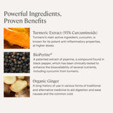 Stonehenge Health Organic Turmeric Curcumin Complex 1650mg supplement facts