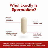 STONERA Spermidine Capsules 10mg back view of bottle