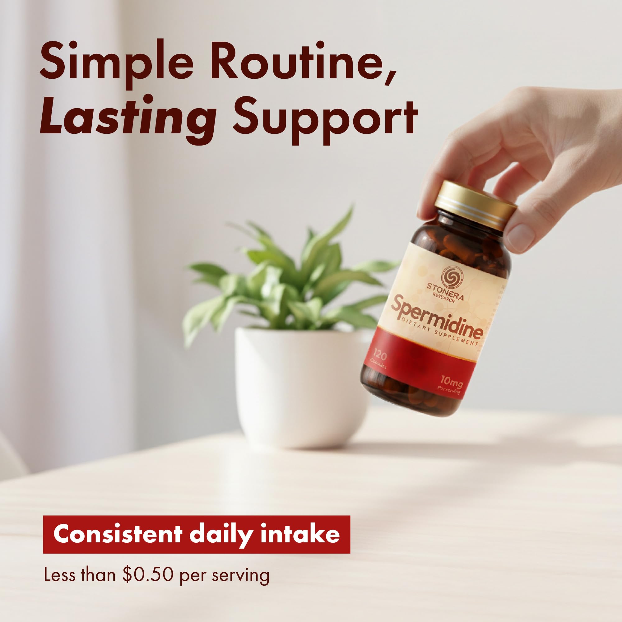 STONERA Spermidine Capsules 10mg with a measuring spoon