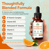 Suiyilary B12 Liquid Supplement dosage instructions