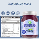 SumDIP Irish Sea Moss Gel in a bowl with a spoon