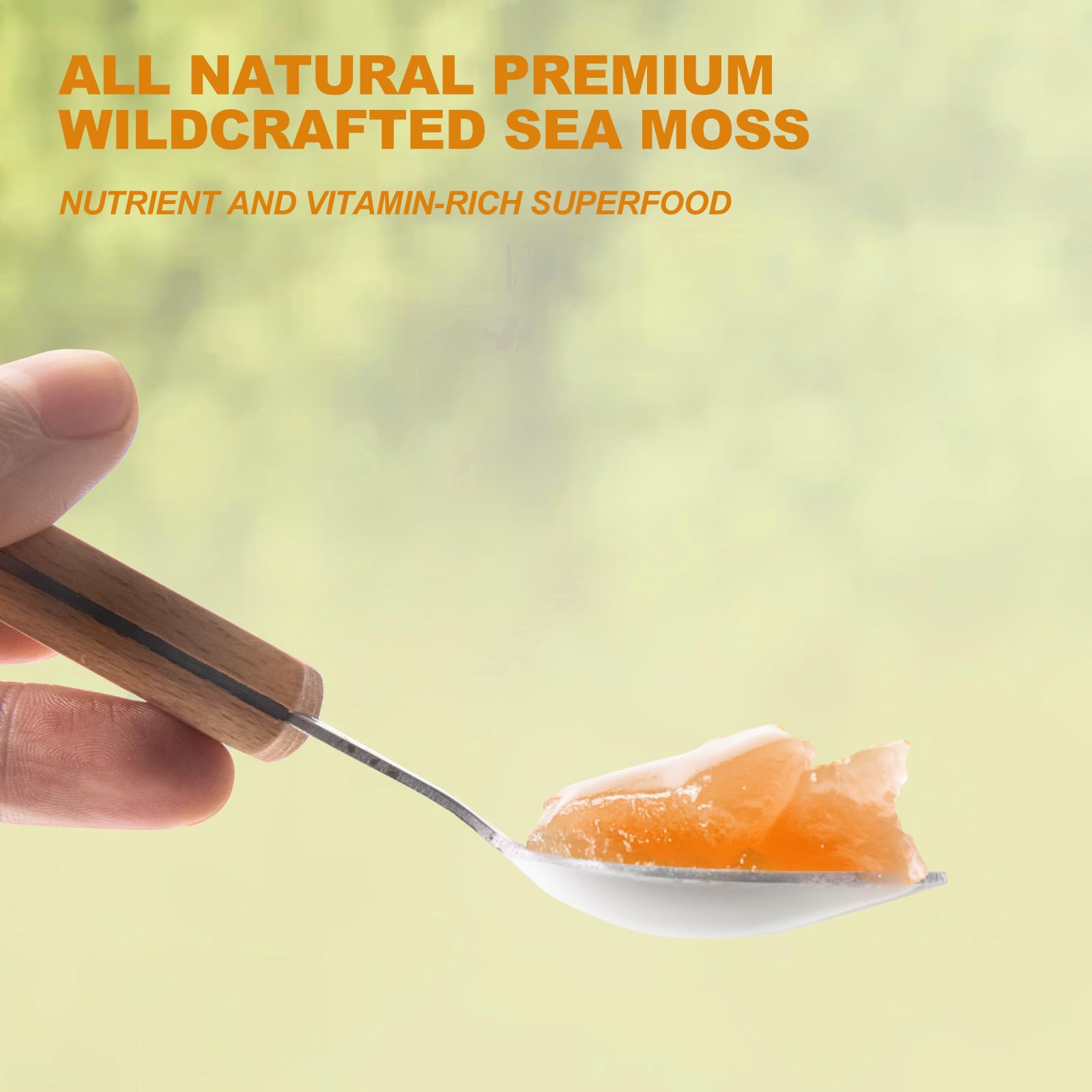 SumDIP Sea Moss Gel 789g in a bowl with a spoon