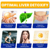 Summatah Akkermansia Liver capsules in a hand