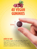 Sundance Melatonin Gummies for Kids ingredients list