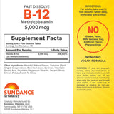 Sundance Vitamin B12 Fast Dissolve Tablets packaging with dosage information