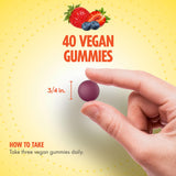Sundance Zinc Gummies ingredients list
