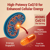 Sundhed Natural CoQ10 Supplement 55g ingredients list