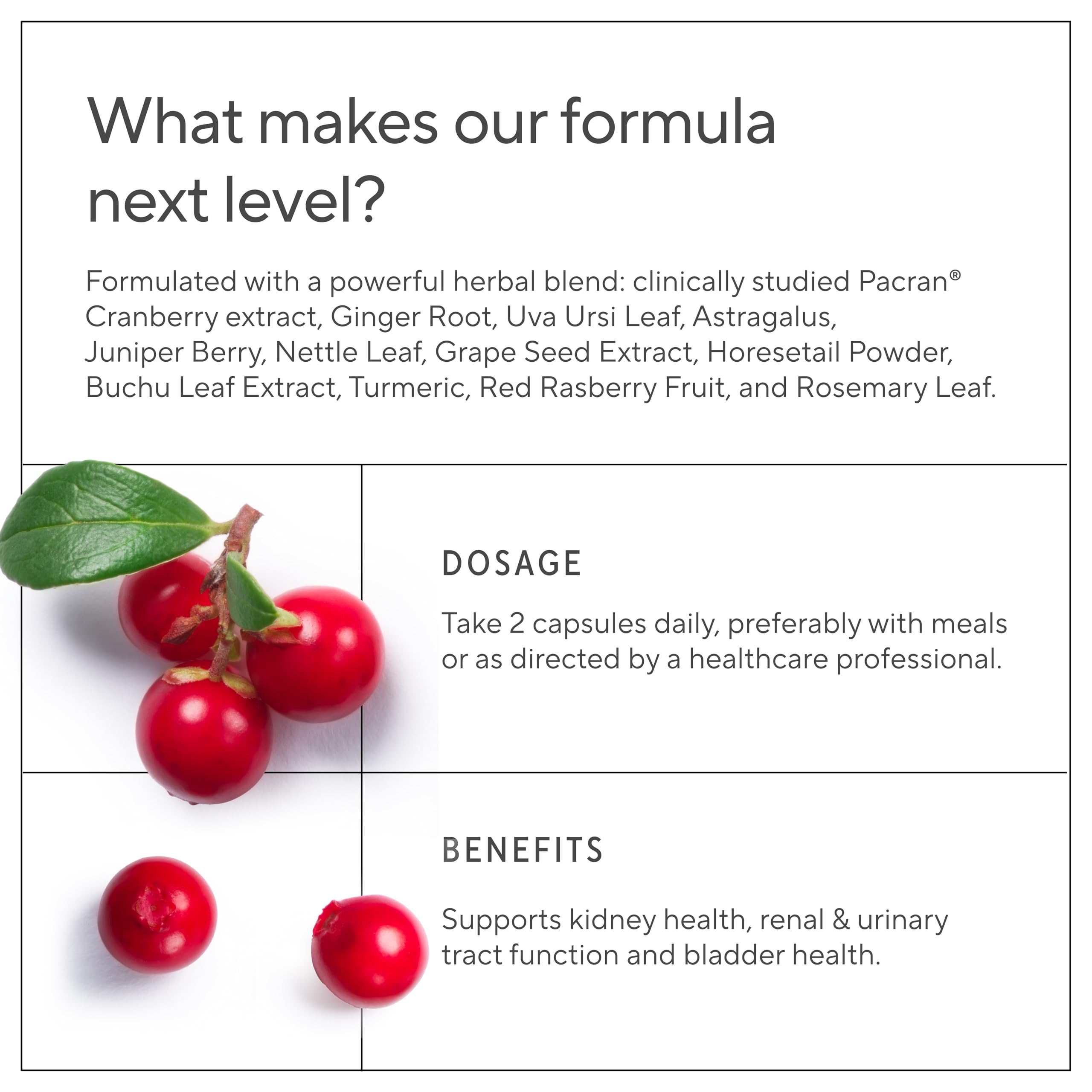 Sunergetic Kidney Cleanse Supplement label close-up