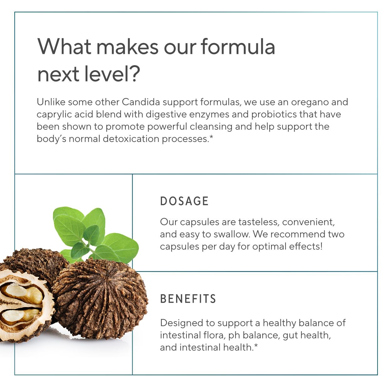 Sunergetic Oregano Candida Support Supplement back view