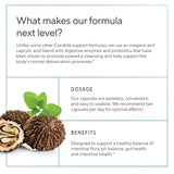 Sunergetic Oregano Candida Support Supplement back view