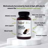 Sunfood Superfoods Shilajit Capsules 500mg close-up of capsules