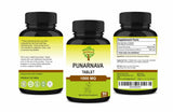 SunNature Punarnava Tablets with dosage instructions