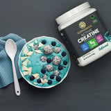 Sunwarrior Active Creatine 301g packaging on a gym bench