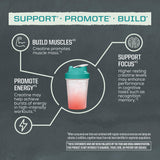 Sunwarrior Active Creatine 301g scoop with powder