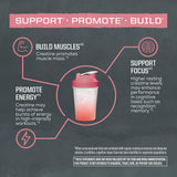 Sunwarrior Active Creatine 350g lifestyle shot on gym bench
