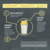 Sunwarrior Active Creatine 350g scoop for serving size