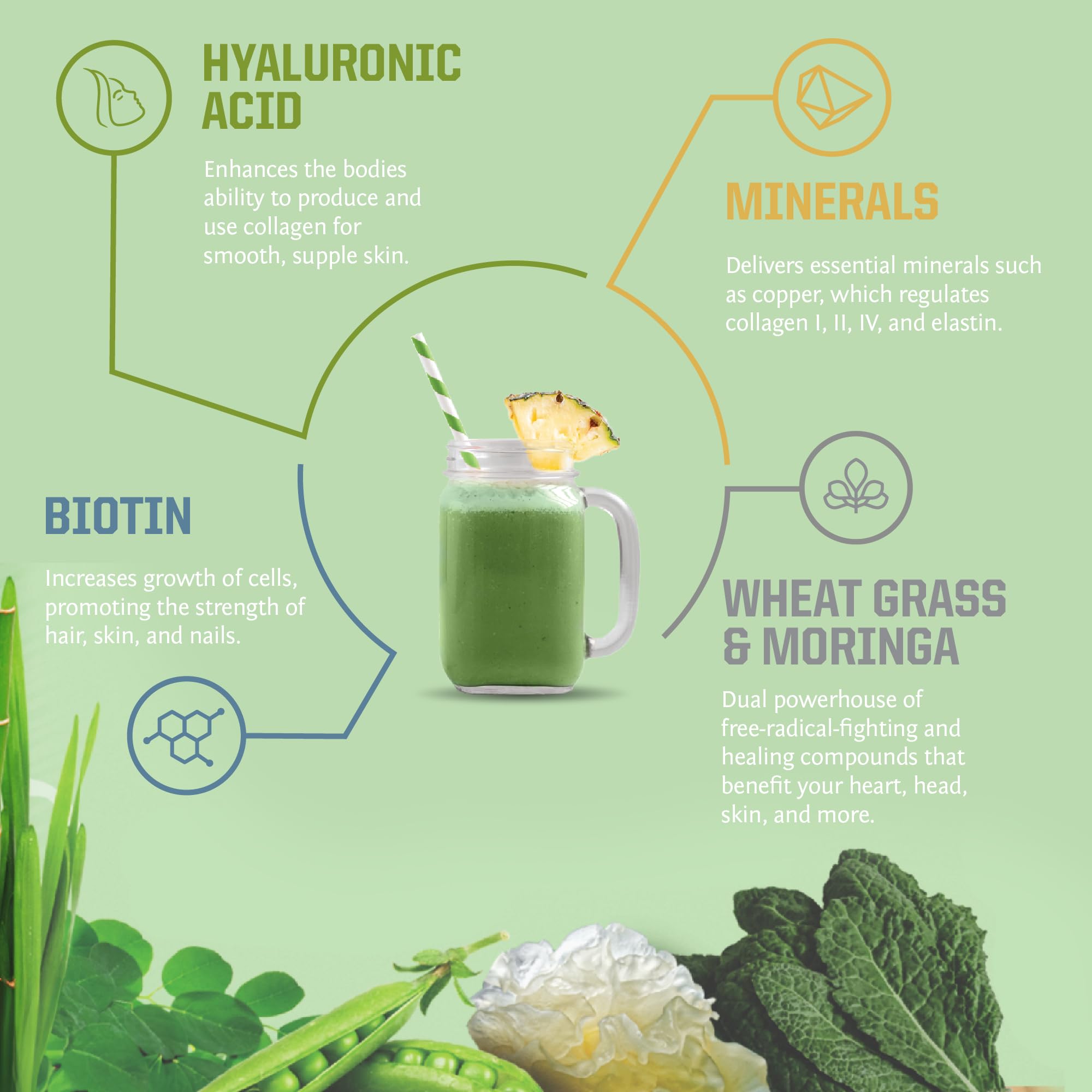 Sunwarrior Beauty Greens Collagen support ingredients list close-up