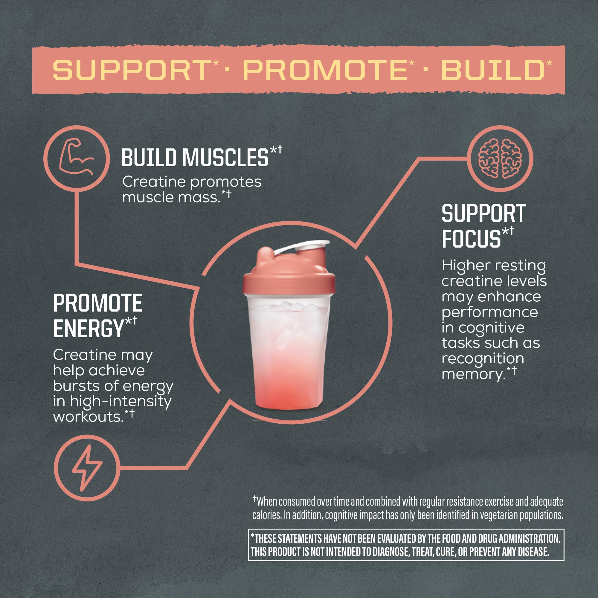 Sunwarrior Creatine Monohydrate 335g packaging