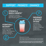 Sunwarrior Creatine Monohydrate 360g serving suggestion