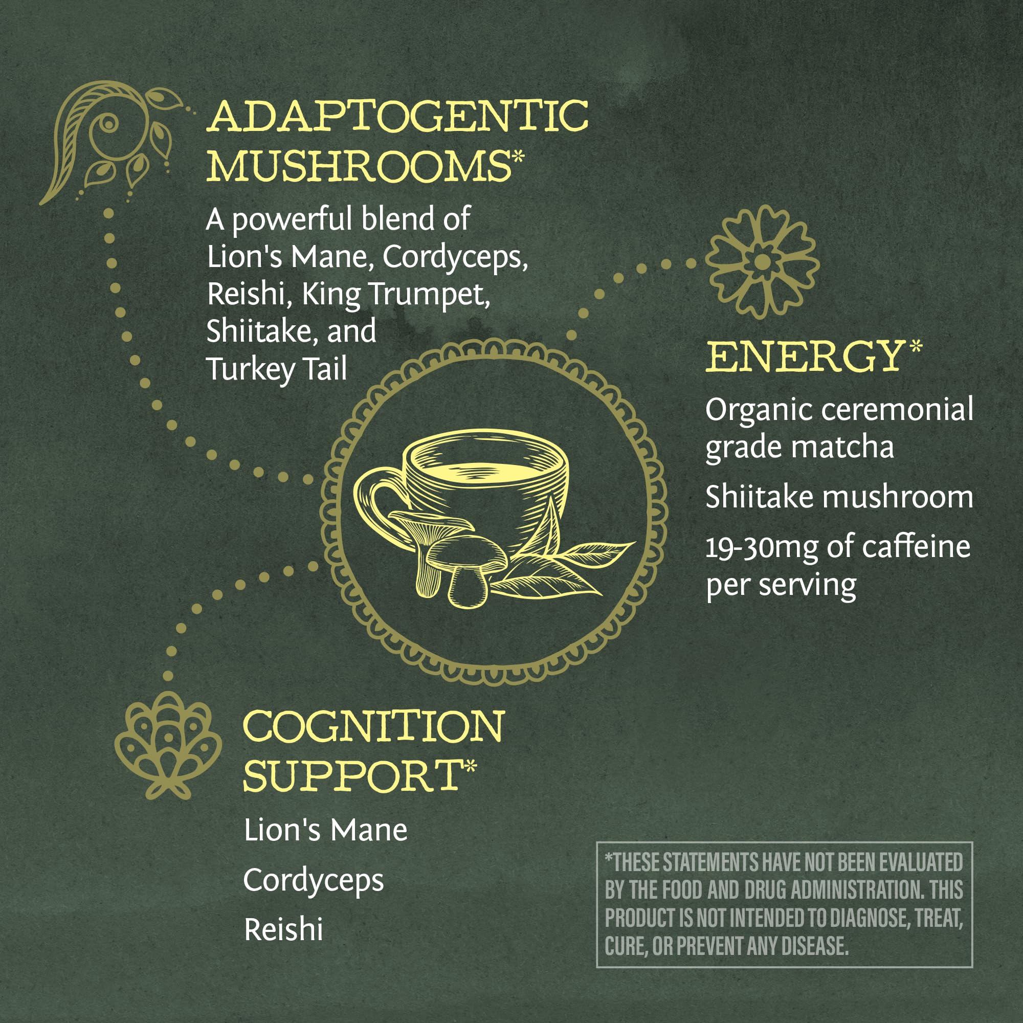 Sunwarrior Mushroom & Matcha Blend mixed in hot water