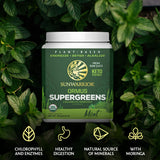 Sunwarrior Ormus SuperGreens Mint in a smoothie