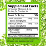 Super Natural Goods Liquid Chlorophyll Drops on a kitchen counter