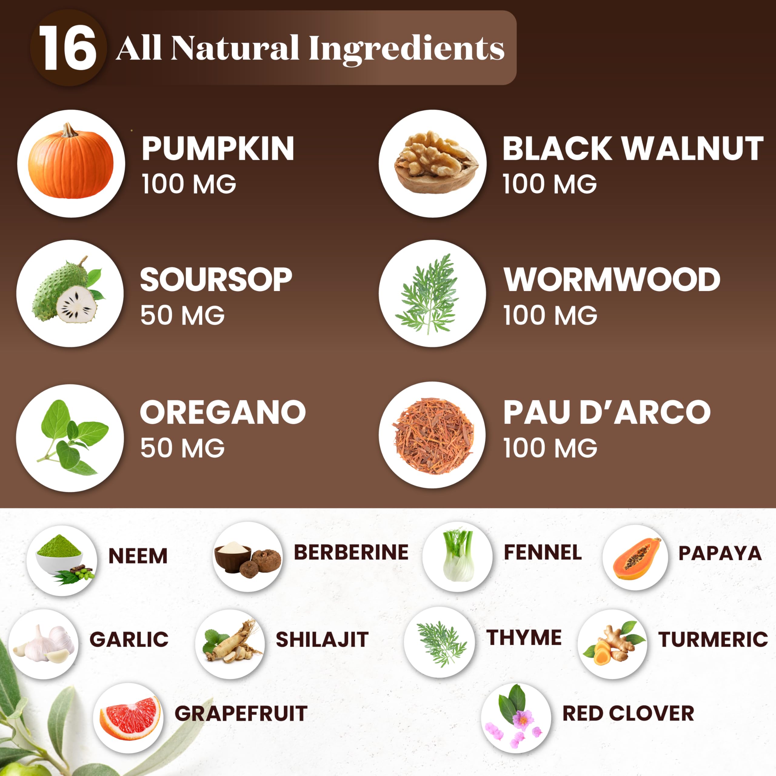 Superfood MD Oregano Oil Complex 113g packaging details
