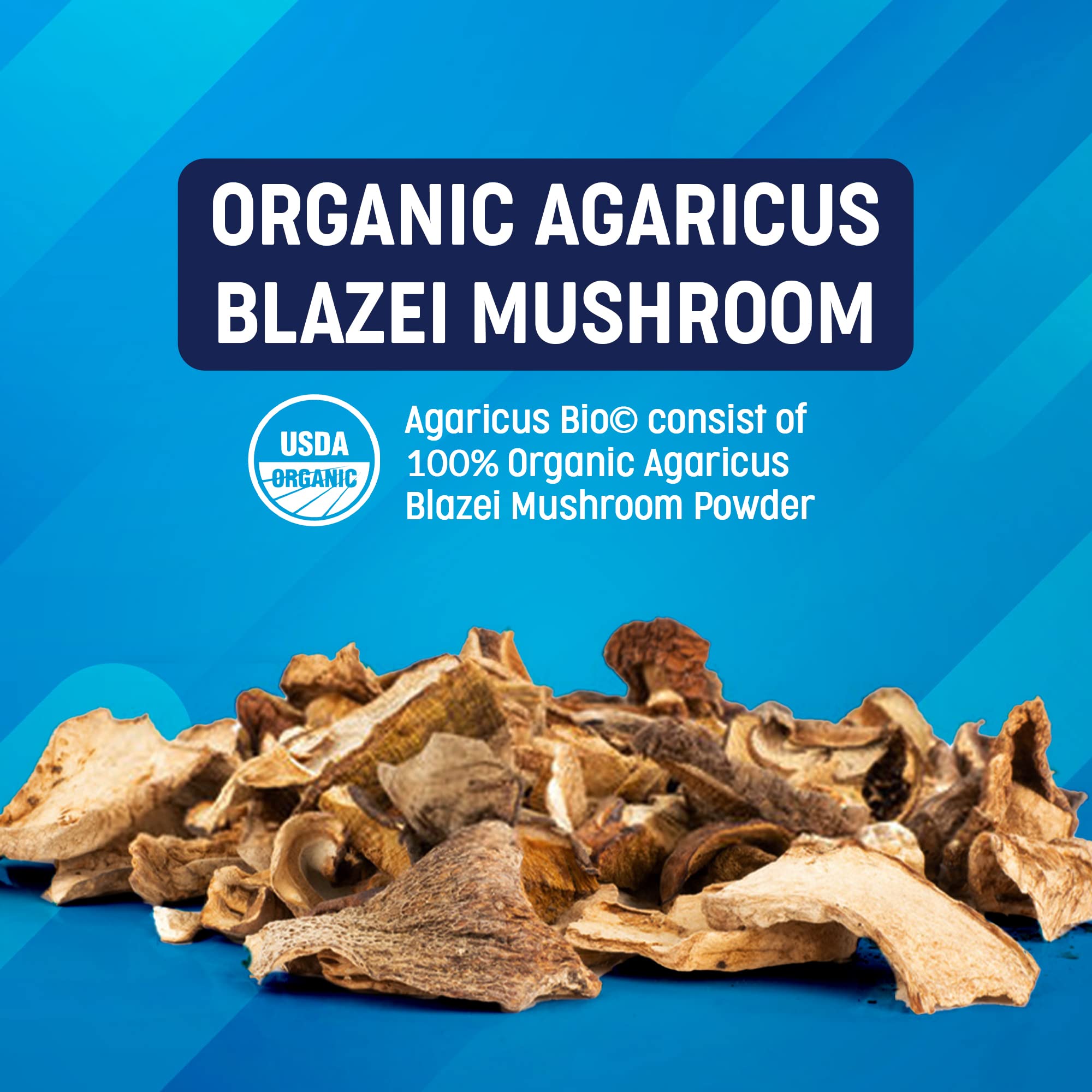 Superfood Science Agaricus Bio Mushroom Capsules 600mg close-up of capsules