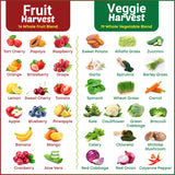 Supermed Research Veggie Harvest supplement ingredients list