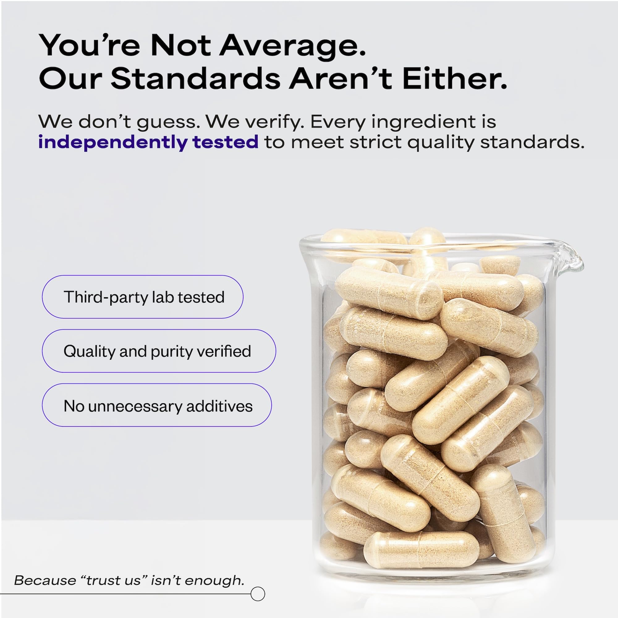 Suppgrade Labs Motivation 101 blended vitamin supplement ingredients list