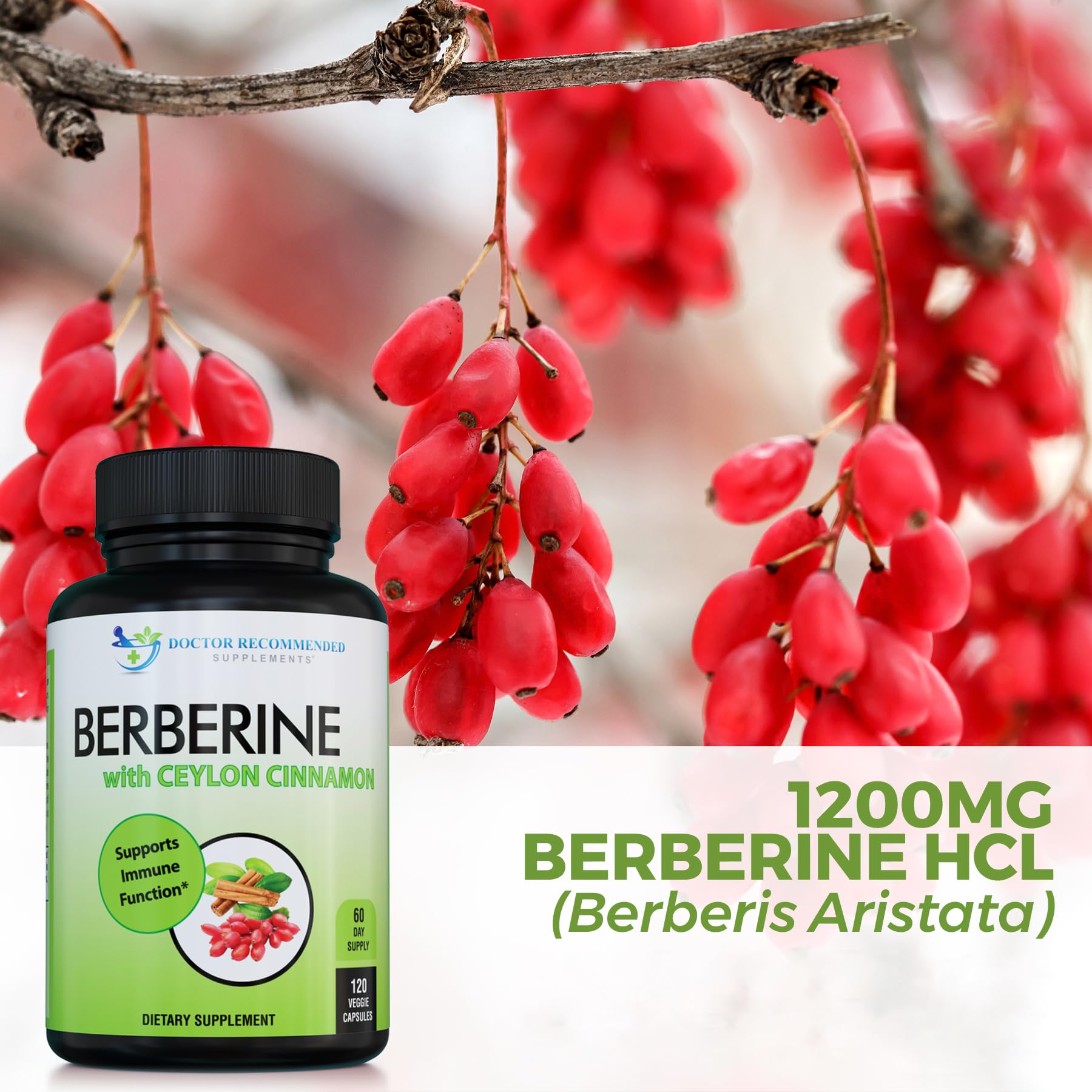 SUPPLEMENTS Berberine & Ceylon Cinnamon bottle back view