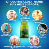 SUPPLEMENTS STUDIO Liposomal Glutathione Supplement capsules in hand