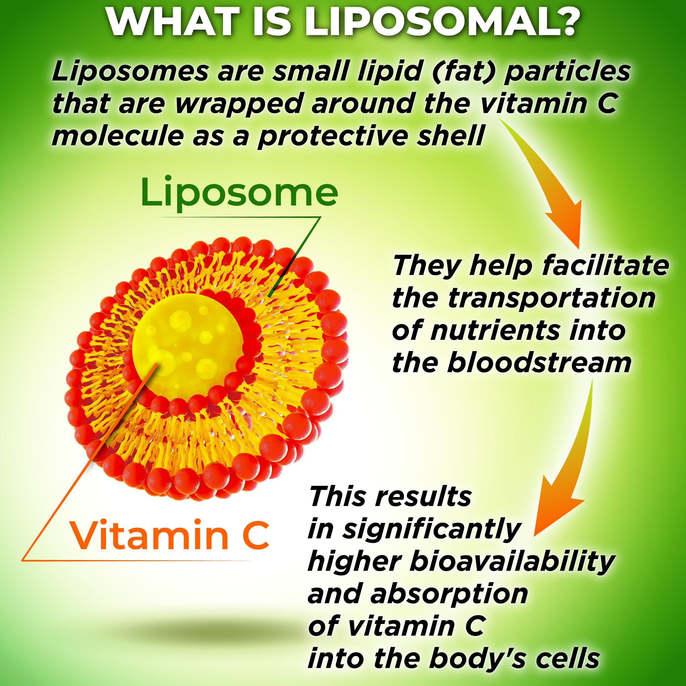 SUPPLEMENTS STUDIO Liposomal Vitamin C 1100mg capsules on a wooden table