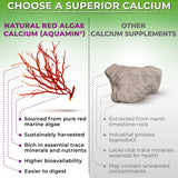 SUPPLEMENTS STUDIO Plant-Based Calcium Magnesium Complex 600mg bottle with capsules